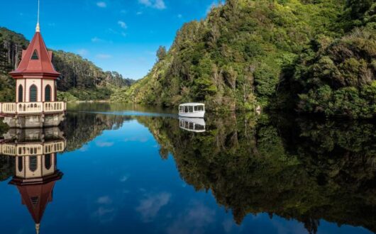 Zealandia-Photo-Credit-Judi-Lapsley-Miller