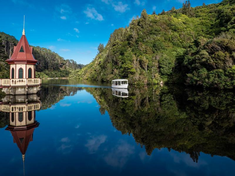 Zealandia-Photo-Credit-Judi-Lapsley-Miller